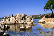 包含生死战西甲前瞻：维尼修斯伤情更新，上海海港冲击零封纪录的词条